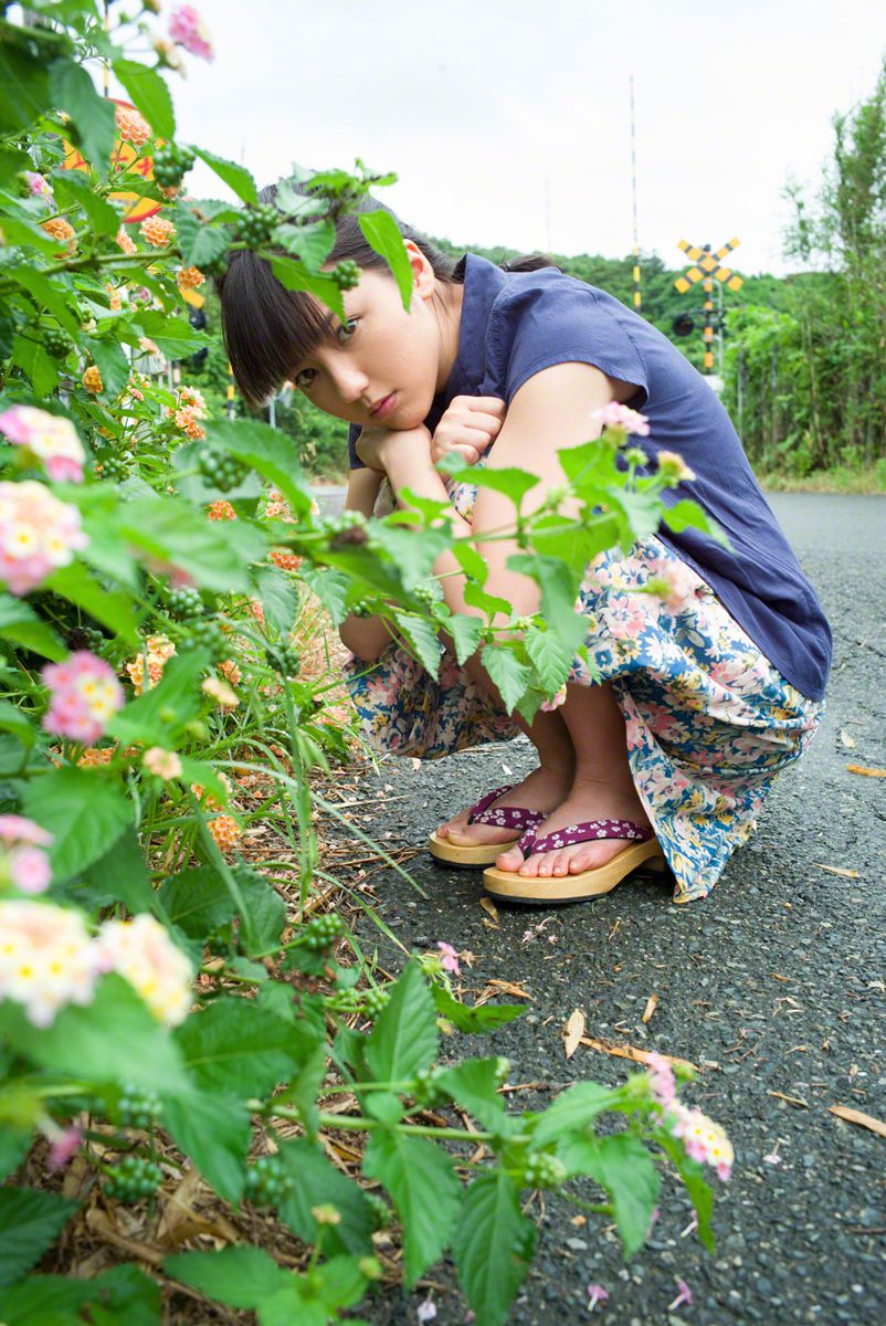 白色蔷薇花